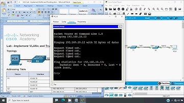 3.6.2 Lab - Implement VLANs and Trunking