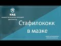 841  Стафилококк в мазке