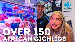 The LARGEST African Cichlid Supplier! (Aquarium Central Tour)