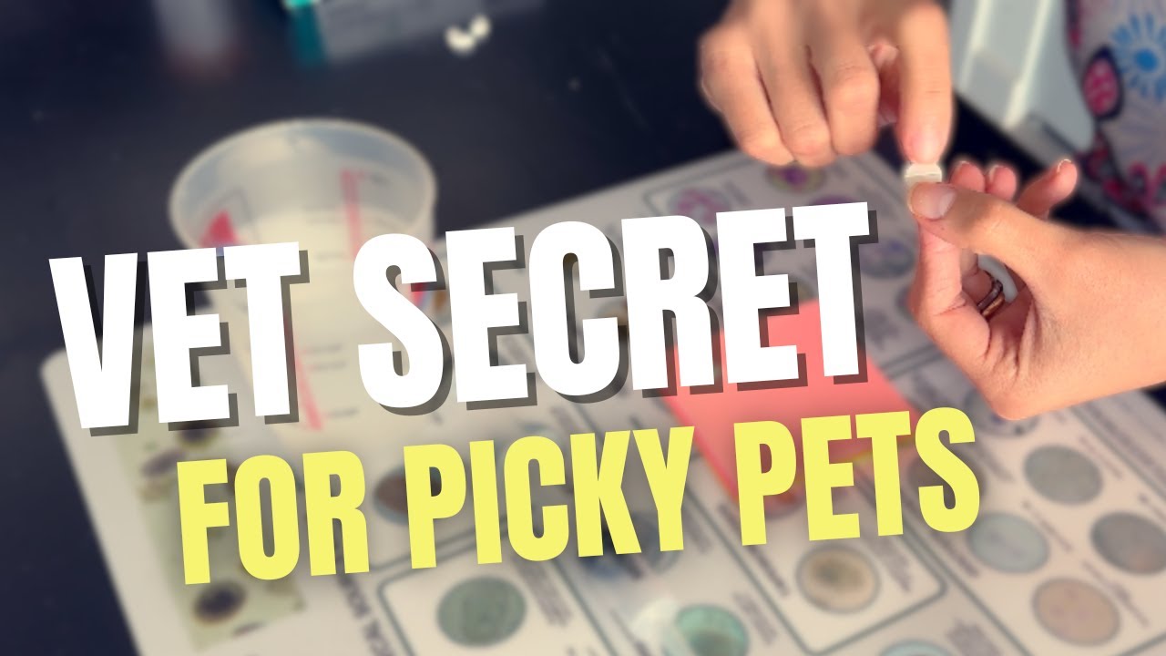 The Vet Secret to Dissolving Pet Meds at Home (So Easy!)