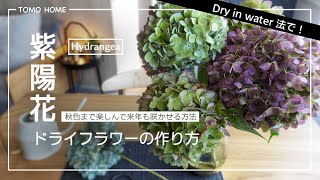 剪定不要 紫陽花を秋色になるまで長く楽しむ ドライフラワーの作り方 来年も咲く Youtube