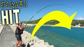 打ち込み釣りで釣りあげる！そして彼は失踪…[渡名喜島遠征#3]