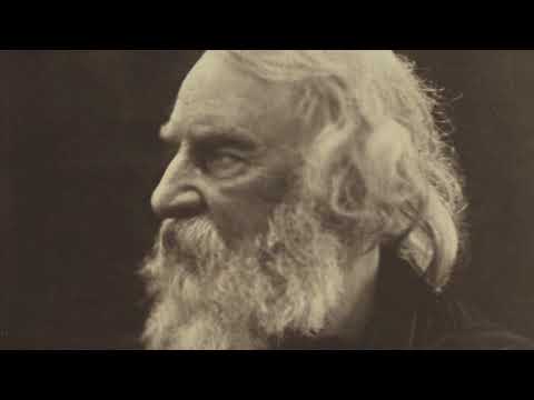 Video: Longfellow ha tradotto dante?