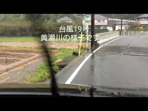 2019年、台風19号！黄瀬川の様子です。