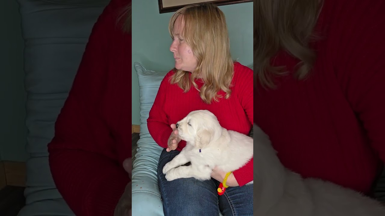 Inside the Puppy Pen: Day 36