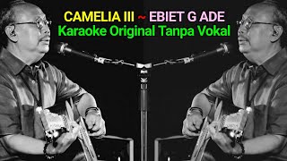 CAMELIA III | KARAOKE TANPA VOKAL | EBIET G ADE.