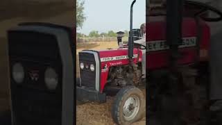 khet jutai #hal chalay tune #kheti badi # bajre ki kheti