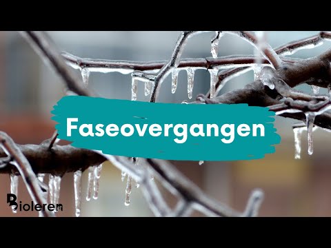 Video: Wat is die betekenis van faseverandering?