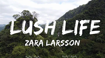 Zara Larsson - Lush Life  || Austin Music