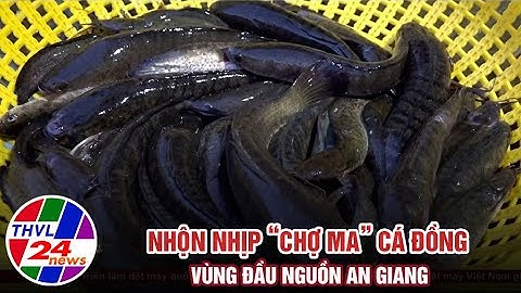 Nhộn nhịp “chợ ma” cá đồng vùng đầu nguồn An Giang
