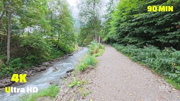 Virtual Run 4k Mont Blanc Segment 2 - Virtual Scenery for Treadmill - Part 1