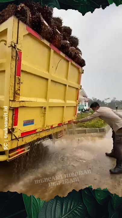 Water Flows Heavy From Palm Oil Truck #palm #fruit #factory #shrots