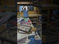 Quick shop clean up! Always good to refresh the shop. #woodworking #tools #makers #woodshop