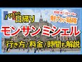 モンサンミシェル観光Vlog|パリから日帰り観光【ツアーレビュー・電車&バスVSツアー】