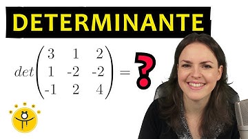 DETERMINANTE 3x3 Matrix berechnen – Regel von Sarrus, Matrizen, Beispiele