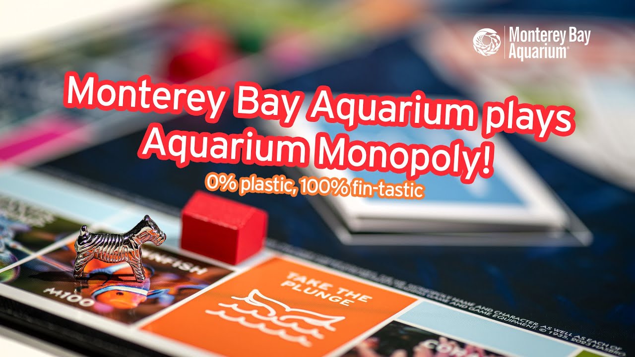 monterey-bay-aquarium-plays-aquarium-monopoly-educoceanal-gaming