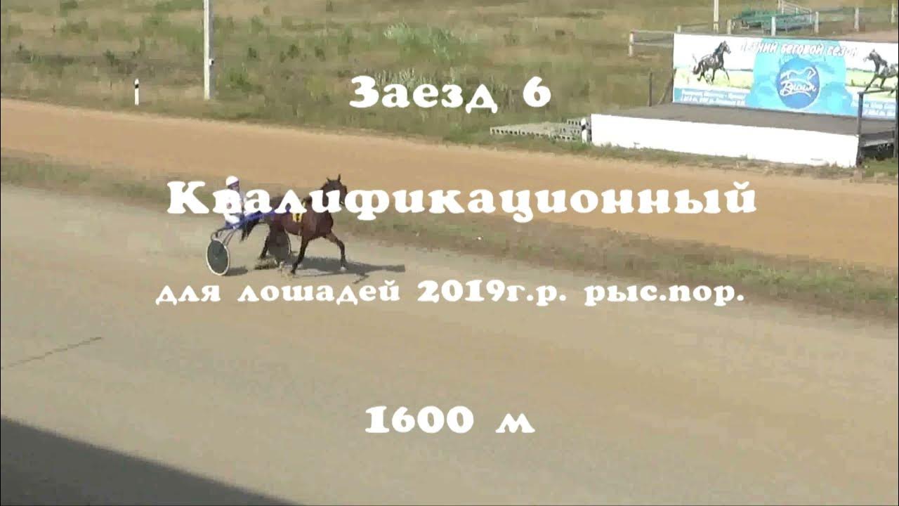 Заездов 6. Заездов 6