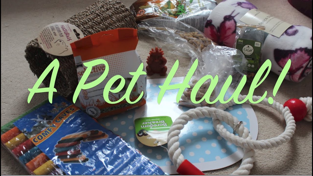  A Pet Haul!