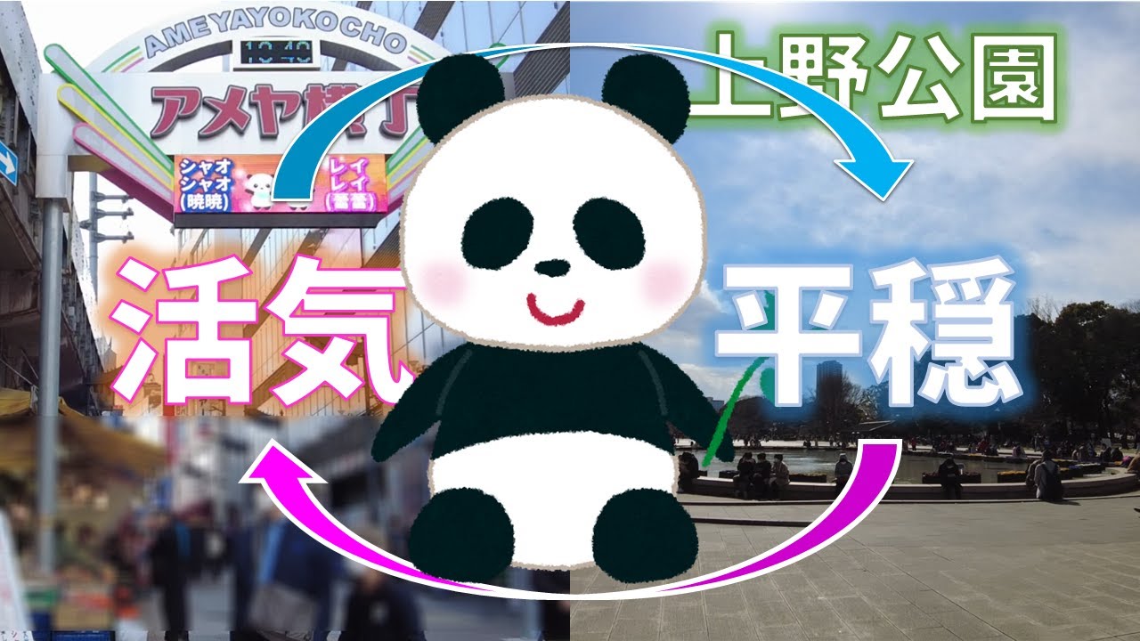 上野公園・アメ横の雰囲気