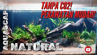 MEMBUAT AQUASCAPE LOW TECH 100 CM | TANPA INJEKSI CO2