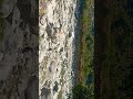 #chamoli #pahadi #vlog #river #holi #trending