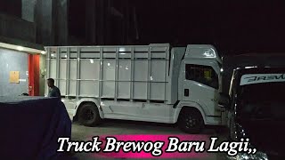 Truck Baru Brewog  Sudah Datang Lagi
