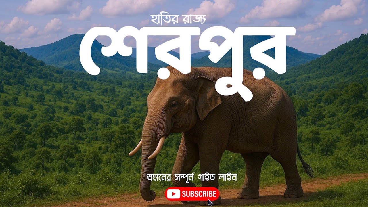 হাতির রাজ্য|গারো পাহাড়|গজনী |মধুটিলা|‎একদিনে শেরপুর ভ্রমণের সম্পূর্ন গাইডলাইন| Sherpur Travel 2025
