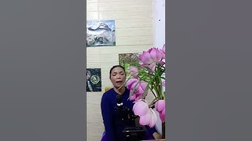 Cảnh nổi bật từ buổi phát trực tiếp