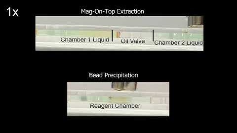 Programmable magnetic robot (ProMagBot) for automated nucleic acid extraction at the point of need