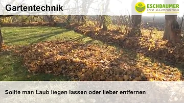 Soll man das Laub im Garten liegen lassen?