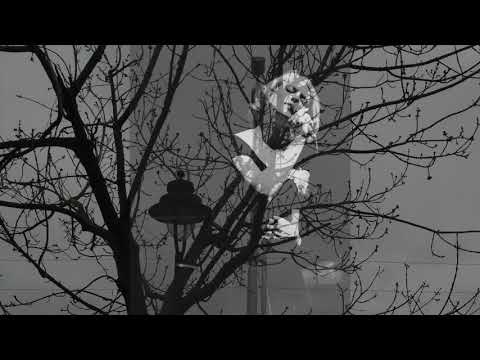 Hallelujah - Emilie Conway