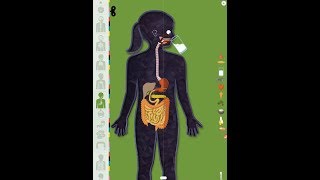 The Human Body by Tinybop part 2 - iPad app demo for kids - Ellie