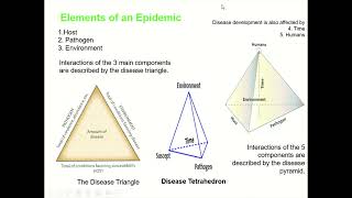 Plant Disease Triangle, Disease Tetrahedron and Disease Pyramid, Disease epidemiology