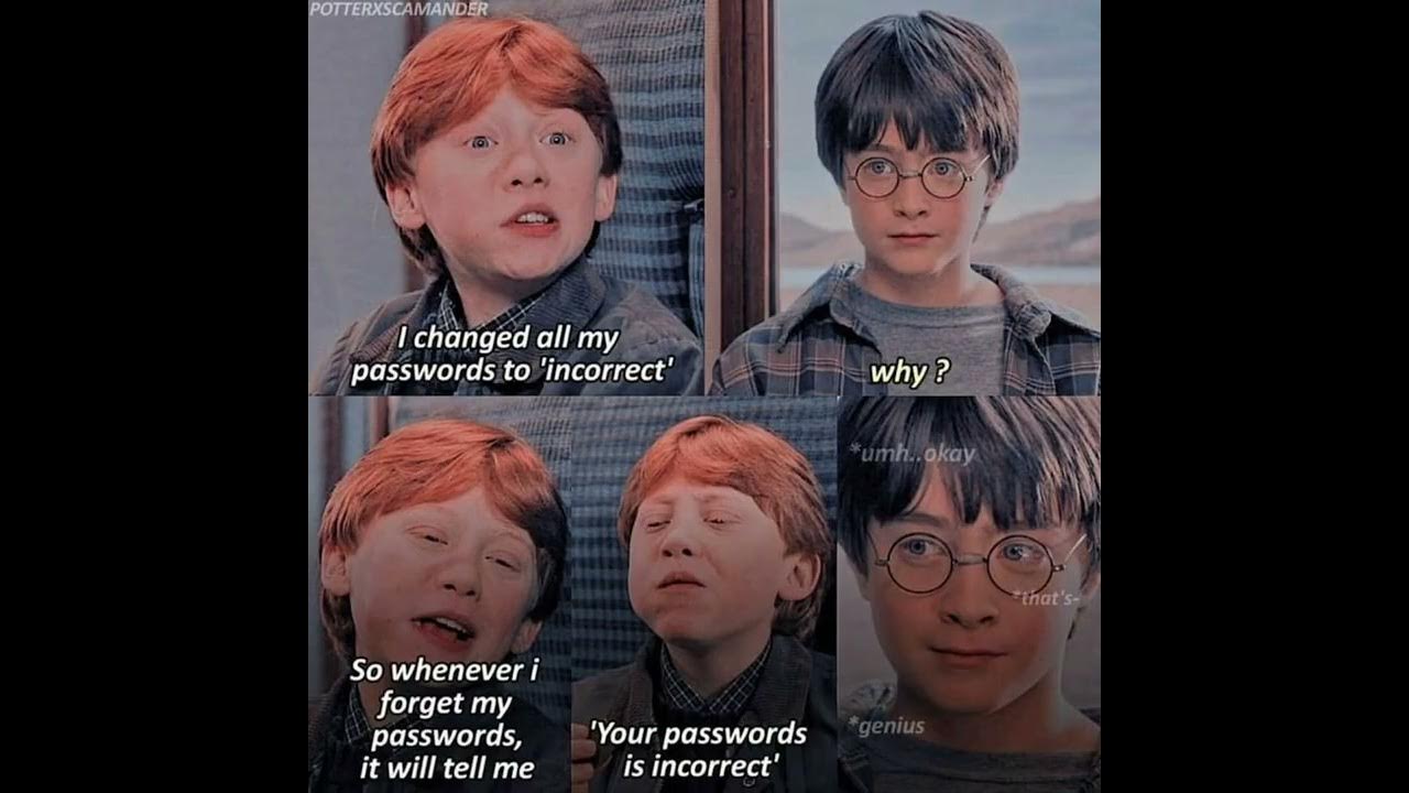 The funniest Harry Potter memes 