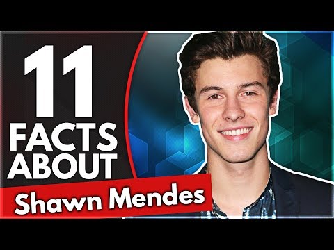 Shawn Mendes Net Worth: 10 Unknwon Facts You Need To Know