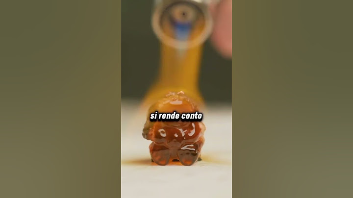 Cane intelligente