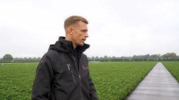 Delphy, een dag mee met een adviseur Aardbeien