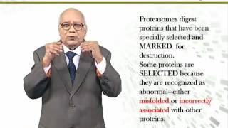 BIO731_Topic202