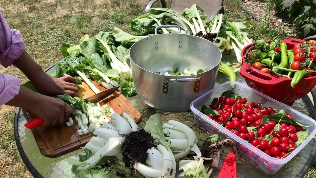 Mashallah Beertayda Way Barakeysan - Waxay ku taal Minnesota