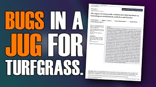 Summary - Bermudagrass Response to Microbial Inoculants. by Turfgrass Epistemology 369 views 1 month ago 7 minutes, 2 seconds