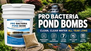 Pro Bacteria Pond Bombs: Do They Actually Work