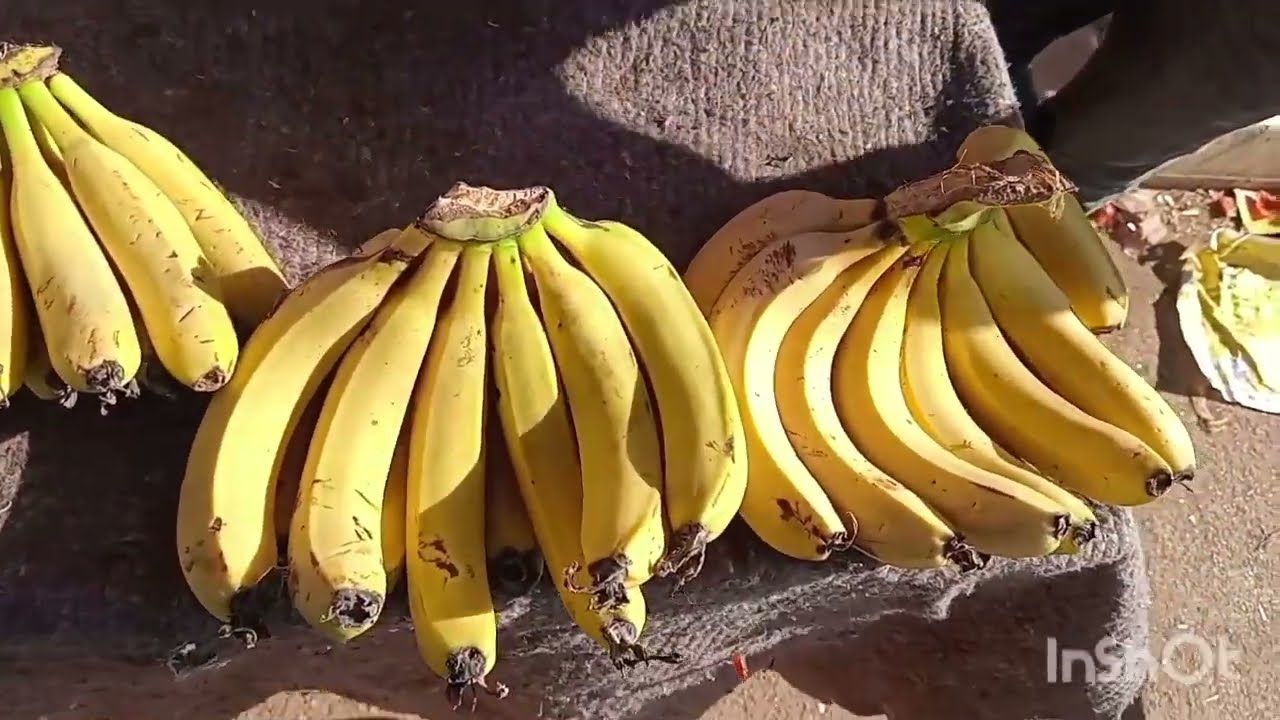 غن شارك  معكم  سوق الاسبوعي