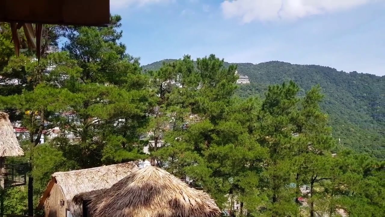 View homestay Pine hill Tam Đảo