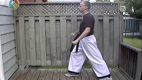 Taekwondo: Hapkido: Foundations: front snap kick, side view
