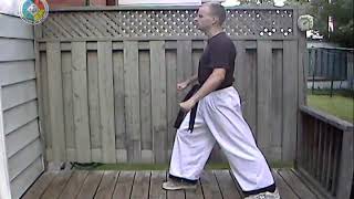 Taekwondo: Hapkido: Foundations: front snap kick, side view