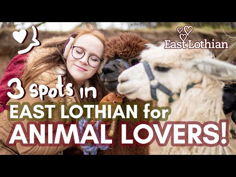 3 Amazing places for ANIMAL LOVERS in EAST LOTHIAN - day trips from Edinburgh!