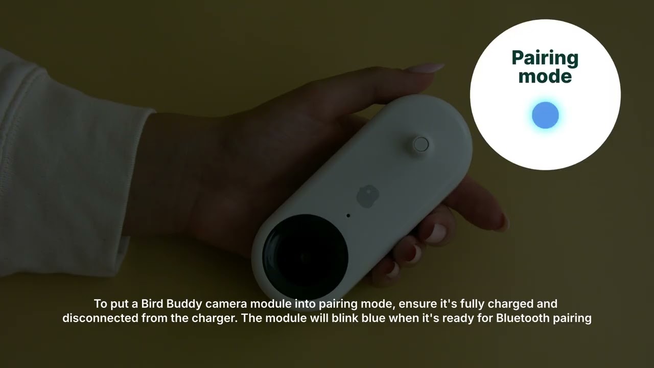 How Do You Know When Bird Buddy is Fully Charged: Quick Guide