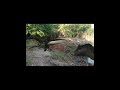 jurassic world 3d movie