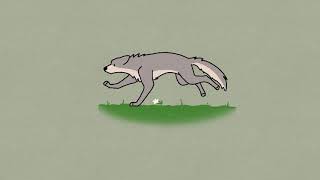 wolf run animation (school)