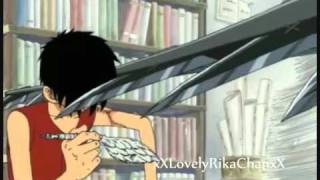 Nami Tribute Hallelujah. John Cale.